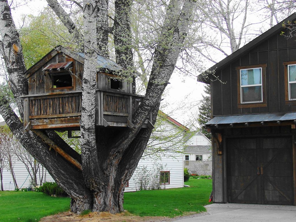 Zillow Digs Best treehouse designs Zillow