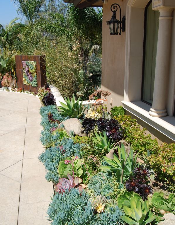 Mediterranean Landscape and Yard with Raised beds by BlueGreen