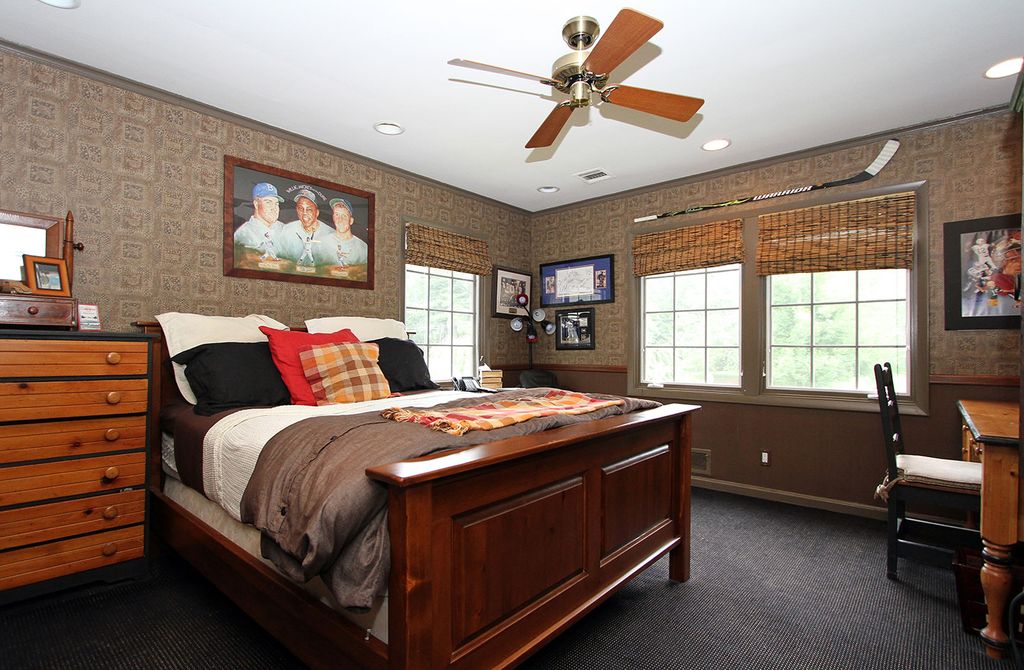Sports Themed Ceiling Fans Fan Ideas Akari Aef 12c Exhaust Fan 12 Ceiling Type Ideas