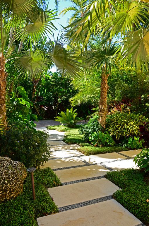 Tropical Landscape and Yard with Pathway by Lewis Aq?i 