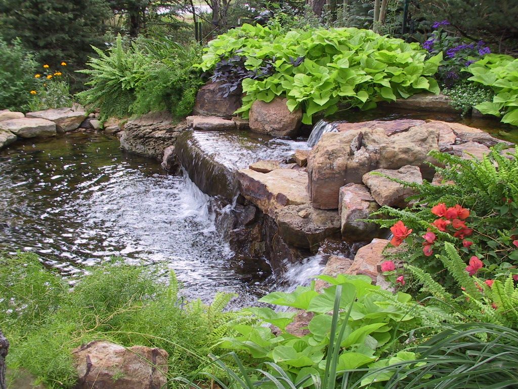 Rustic Landscape and Yard with Pond by Personal Touch Inc | Zillow Digs ...