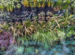 Contemporary Deck in San Francisco, CA | Zillow Digs | Zillow