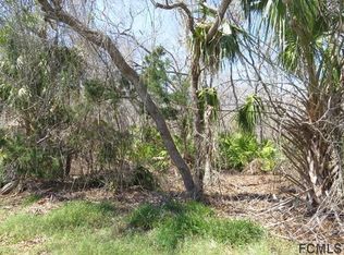 21 Armand Beach Dr Palm Coast Fl 32137 Mls 228284 Zillow