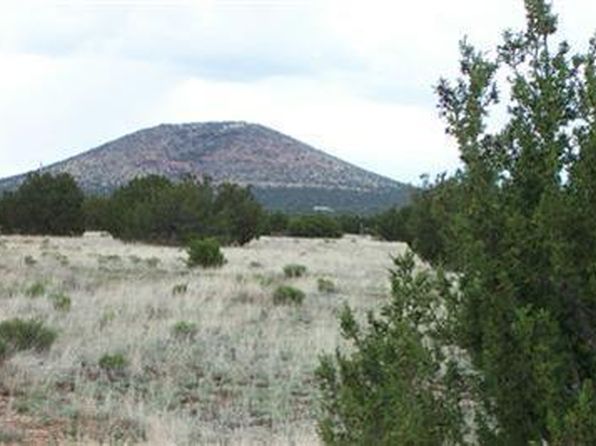 Realtors In Williams Az