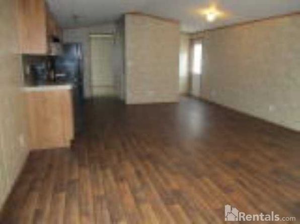 house for rent in texas dallas