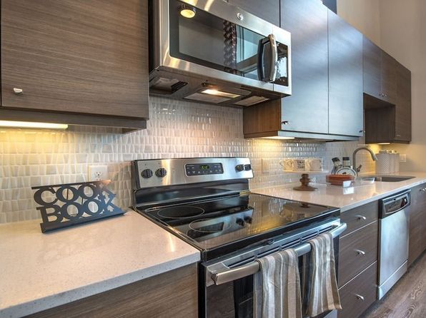 house for rent in texas dallas