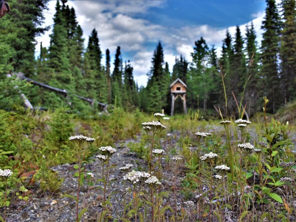 Kenai River Frontage Soldotna Real Estate 4 Homes For Sale