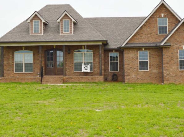 homes for sale in chapel hill tn