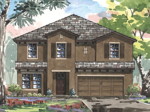 homes for rent in triple creek riverview fl