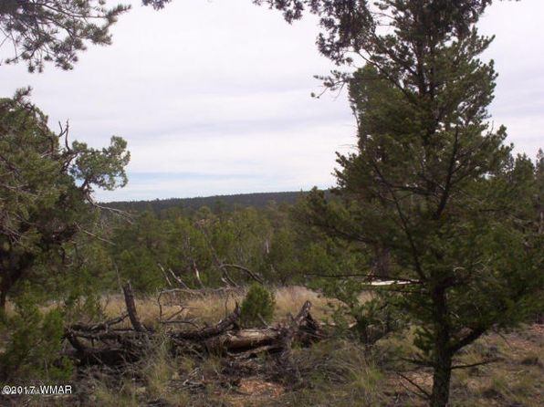Heber AZ Land & Lots For Sale - 125 Listings | Zillow