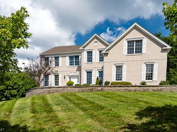 13 Greenbriar Ct, Flanders, NJ 07836 | Zillow