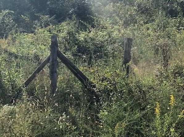 Swingers in valley head al