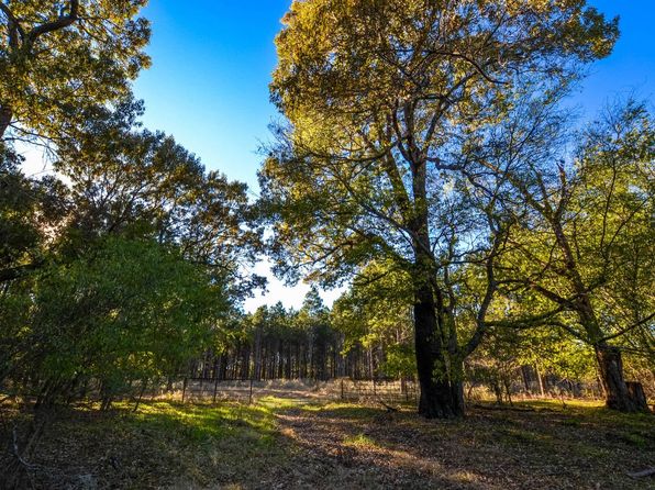 homes for rent in grand saline tx