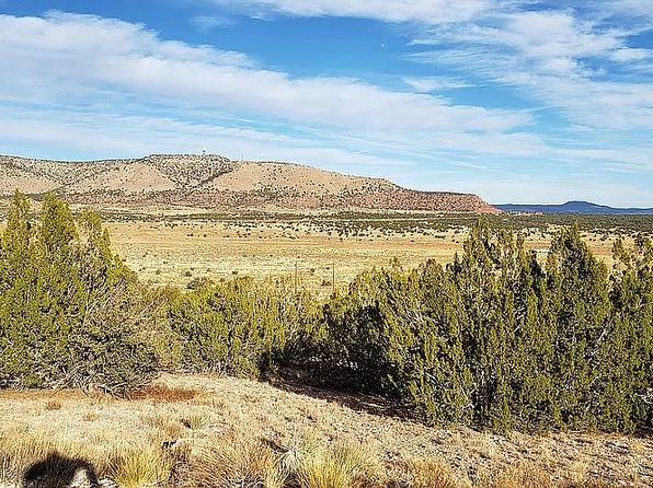 Property For Sale In Seligman Az