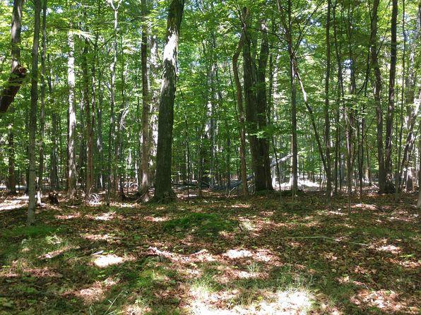 tunnel of trees harbor springs real estate harbor springs mi