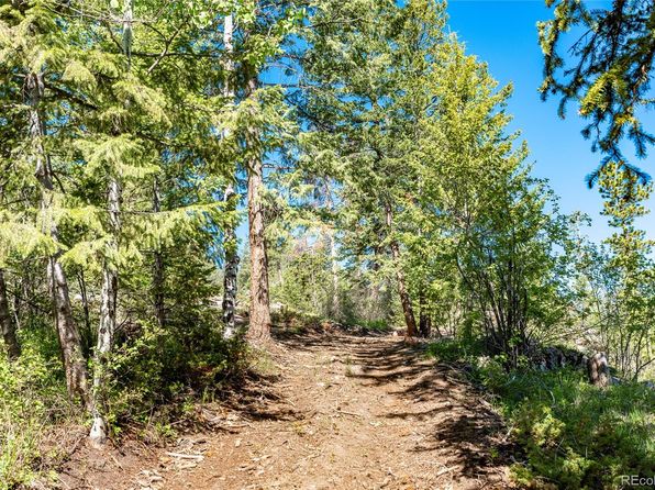 Land For Sale Evergreen Co