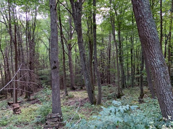 Banner Elk Nc For Sale By Owner Fsbo 8 Homes