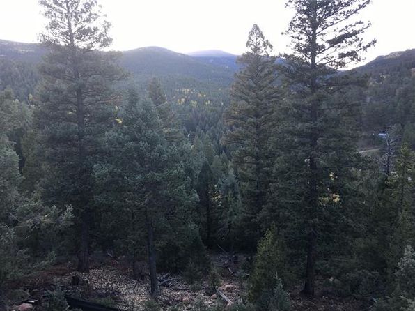 Land For Sale Near Conifer Co