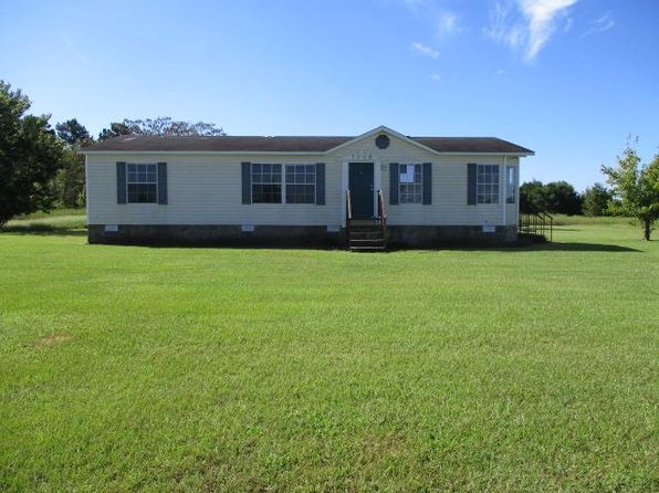 homes for sale in effingham ga