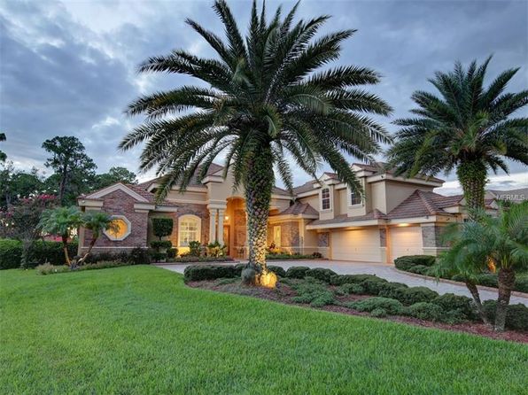 Property For Sale Palm Harbor Florida