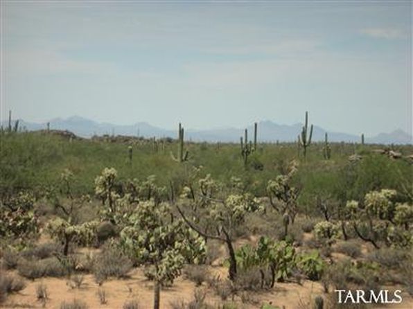 wild heart rescue ranch marana