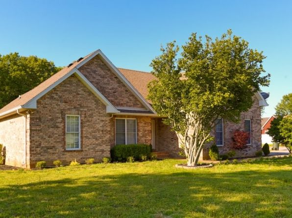 homes for sale owens chapel rd springfield tn