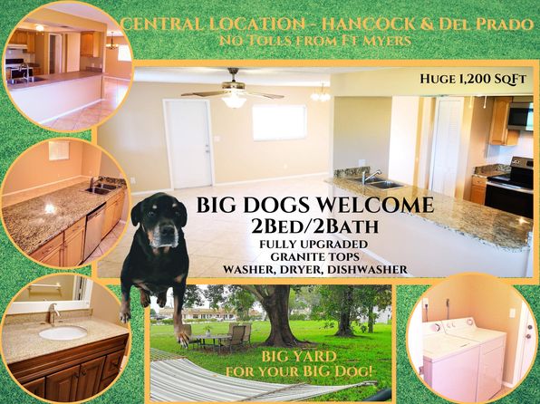 houses for rent allowing large dogs