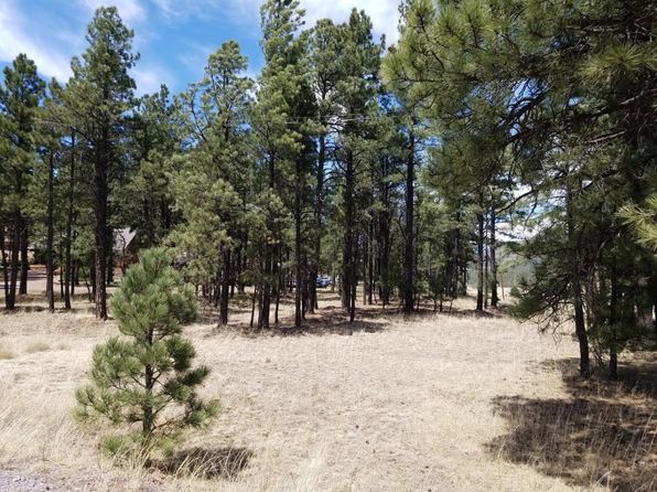 Alpine AZ Land & Lots For Sale - 46 Listings | Zillow