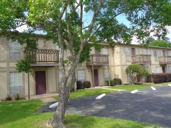 homes for rent in stone oak