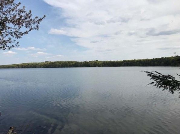 Golden Lake 49935 Real Estate 16 Homes For Sale Zillow