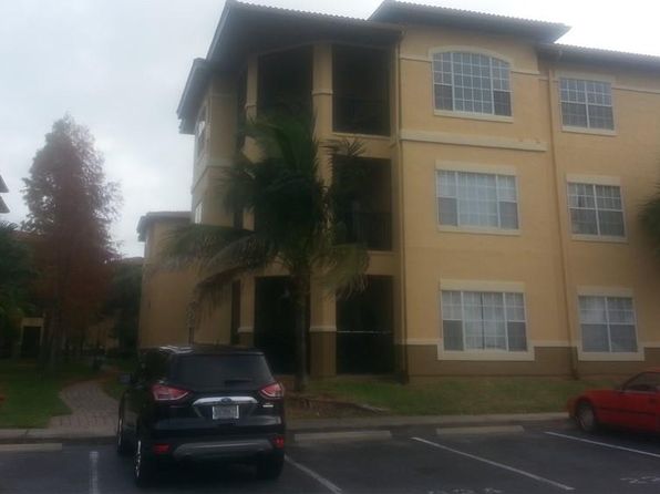 Town N Country Apartments For Rent Tampa Fl Apartments Com