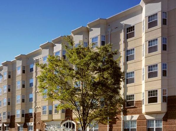 Studio Apartment Richmond Va apartments for rent in richmond va | zillow Studio Apartment Richmond Va apartments for rent in richmond va | zillow