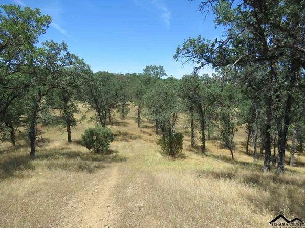 Red Bluff Land For Sale