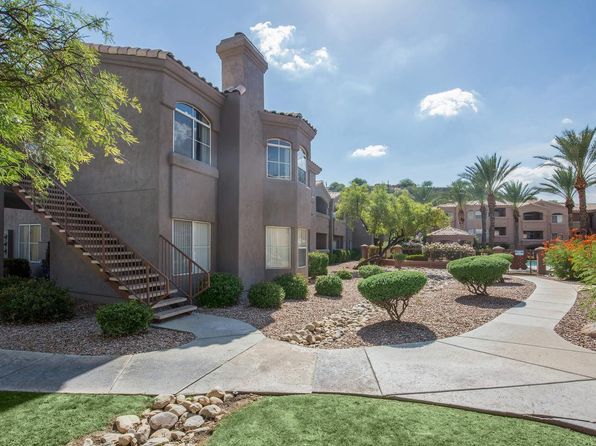 tucson-az-pet-friendly-apartments-houses-for-rent-166-rentals-zillow