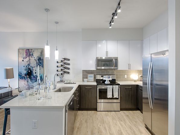 furnished apartments for rent in tampa fl zillow