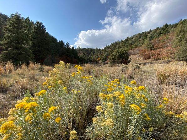 Zillow Durango Colorado