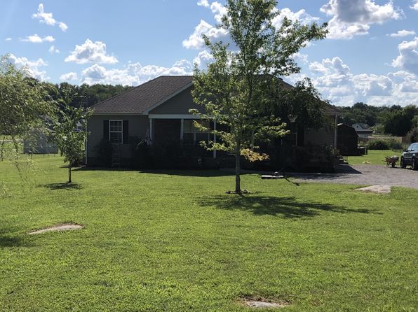 homes for sale in chapel hill tn