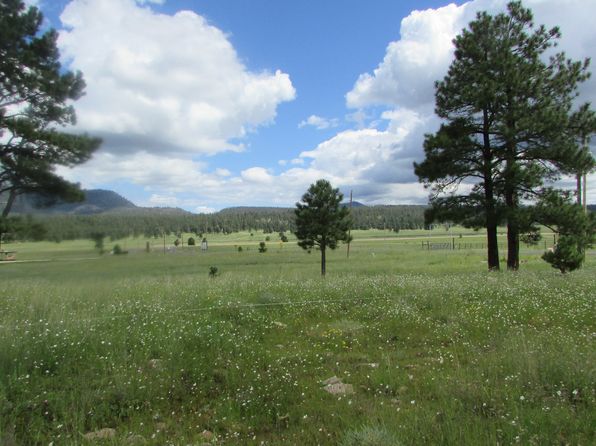 Alpine AZ Land & Lots For Sale - 48 Listings | Zillow