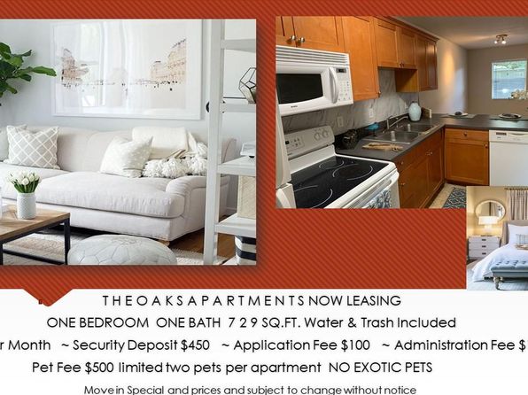 Tampa Fl Pet Friendly Apartments Houses For Rent 236