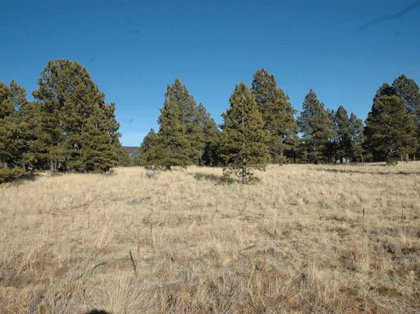 Angel Fire Real Estate - Angel Fire NM Homes For Sale | Zillow