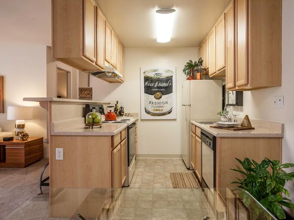 Studio Apartments For Rent In San Jose Ca Zillow