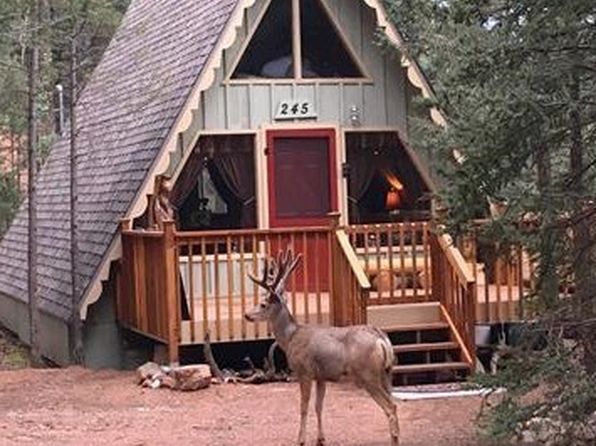 245 Summer Haven Dr Woodland Park Co 80863 Zillow