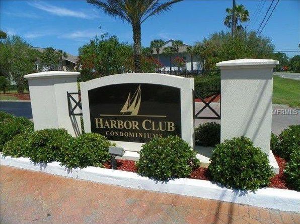 Apartments For Rent In Palm Harbor Fl 