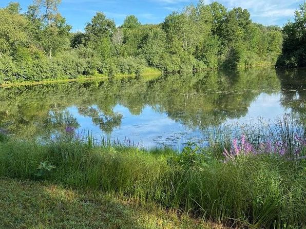 Manchester Real Estate - Manchester MI Homes For Sale | Zillow