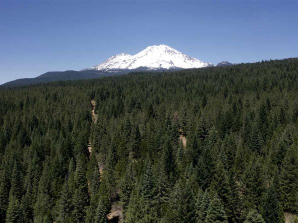 Mt Shasta Ca >> Mount Shasta Real Estate Mount Shasta Ca Homes For Sale Zillow Mt Shasta Ca >> Mount Shasta Real Estate Mount Shasta Ca Homes For Sale Zillow