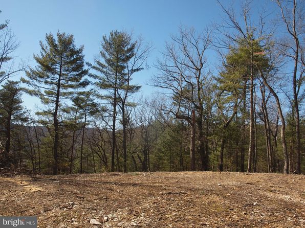 homes for sale in pendleton county wv