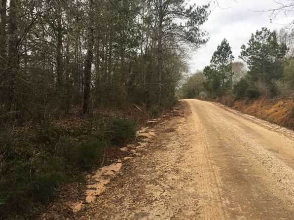 homes for sale samson al