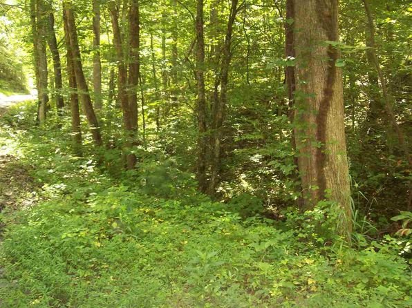 Sneedville Real Estate Sneedville TN Homes For Sale Zillow