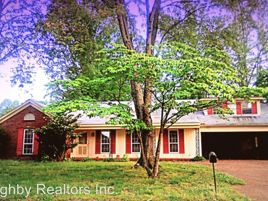 Cash vs loan for rental property photo 3
