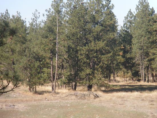 74 Acres For Sale, Spokane, WA 99022 | Zillow